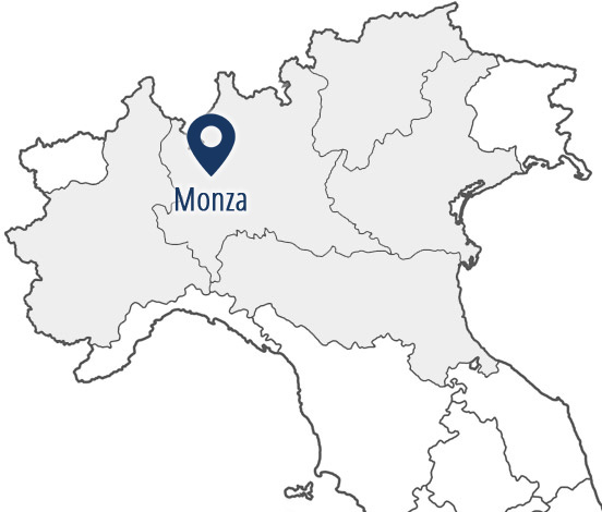 Volantinaggio Monza