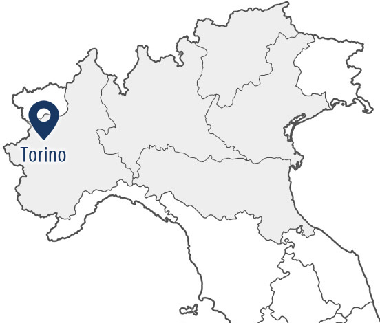 Volantinaggio Torino